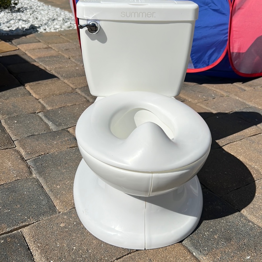 Training potty